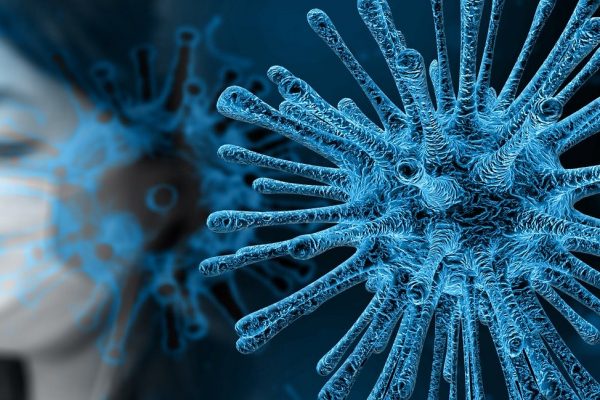 Koronavirus