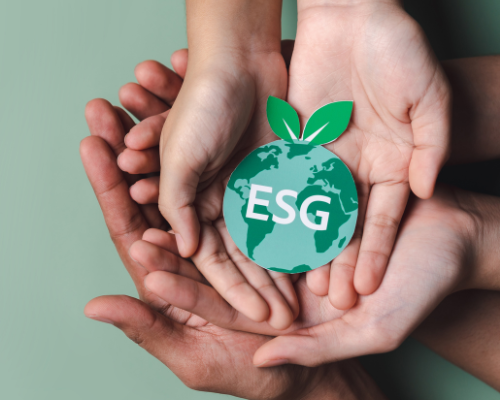 Poptávka po ESG roste: upevňují si své místo na trhu.